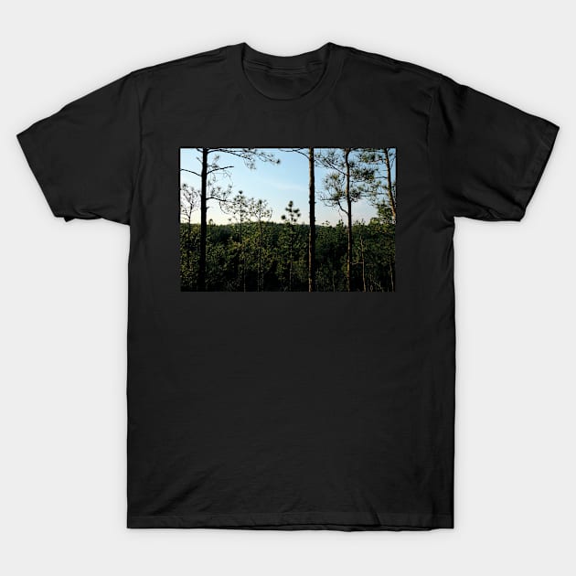 Backbone Trail Louisiana Kisatchie National Forest 3 T-Shirt by chillbilldill